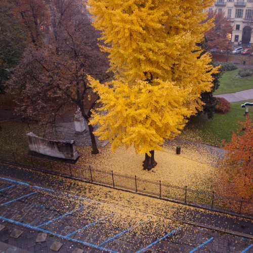 Autumn, Turin, Italy