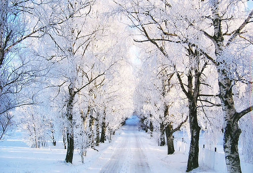 Snowy Lane, Galaverna, Sweden
