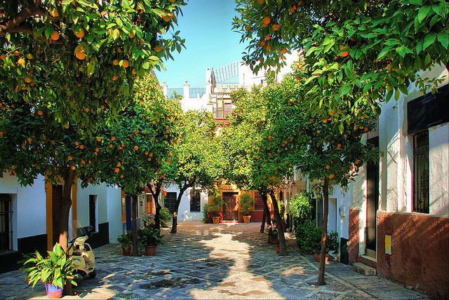 Orange Tree Walk, Santa Cruz, Spain
