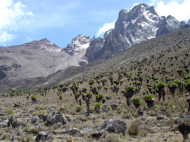 Mount Kenya 5199m is a stratovolcano, the highest mountain in Kenya and the second-highest in Africa, after Kilimanjaro. Mount Kenya is located in central Kenya, just...