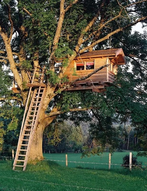 Ladder Treehouse, Marin, California