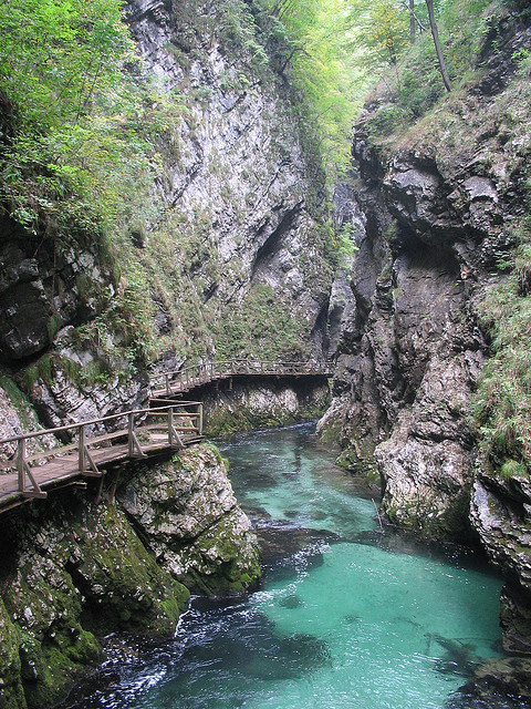 by Dave and Bec on Flickr.Another view from the beautiful Vintgar Gorge in Slovenia.