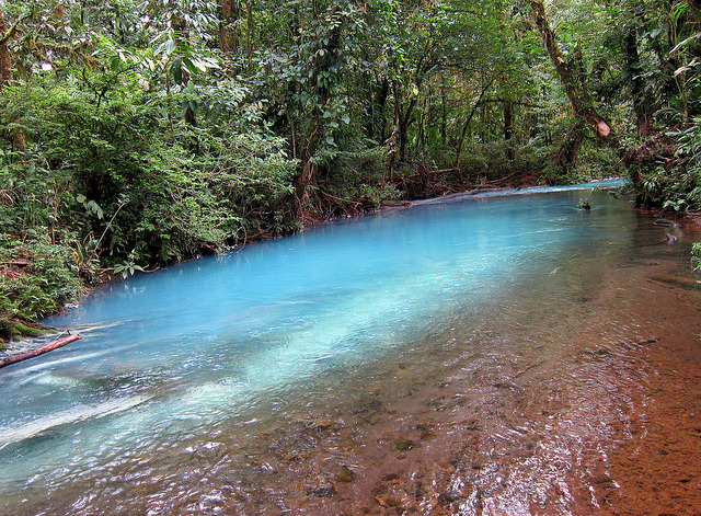 by amira_a on Flickr.The beautiful colours of Rio Celeste in Tenorio Volcano National Park, Costa Rica.