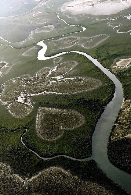 Heart-shaped swamp in Loyalty Islands, New Caledonia