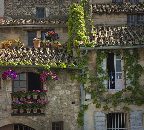 Tile Roof, Provence, France