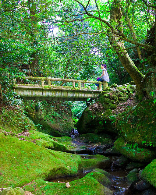 Bridge in Kakusenkei Gorge, Ishikawa Prefecture, Japan
