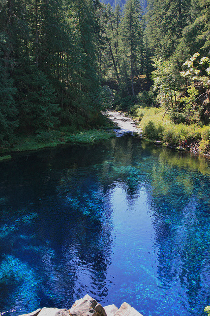Tamolitch Pool, the place where the McKenzie River naturally reappears from its underground channel into a crystal blue pool in Oregon, USA