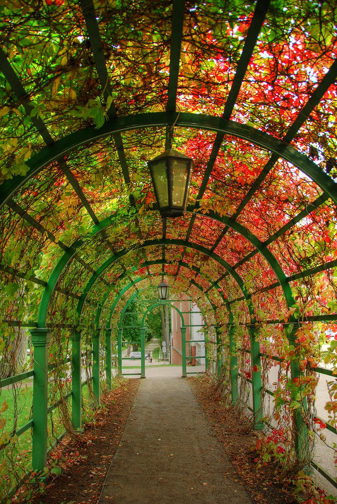 Tunnel in the gardens at Kadriorg Palace in Tallinn, Estonia