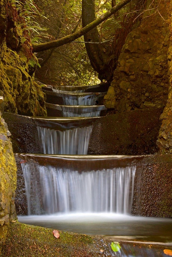 Tiered Waterfall, Oregon