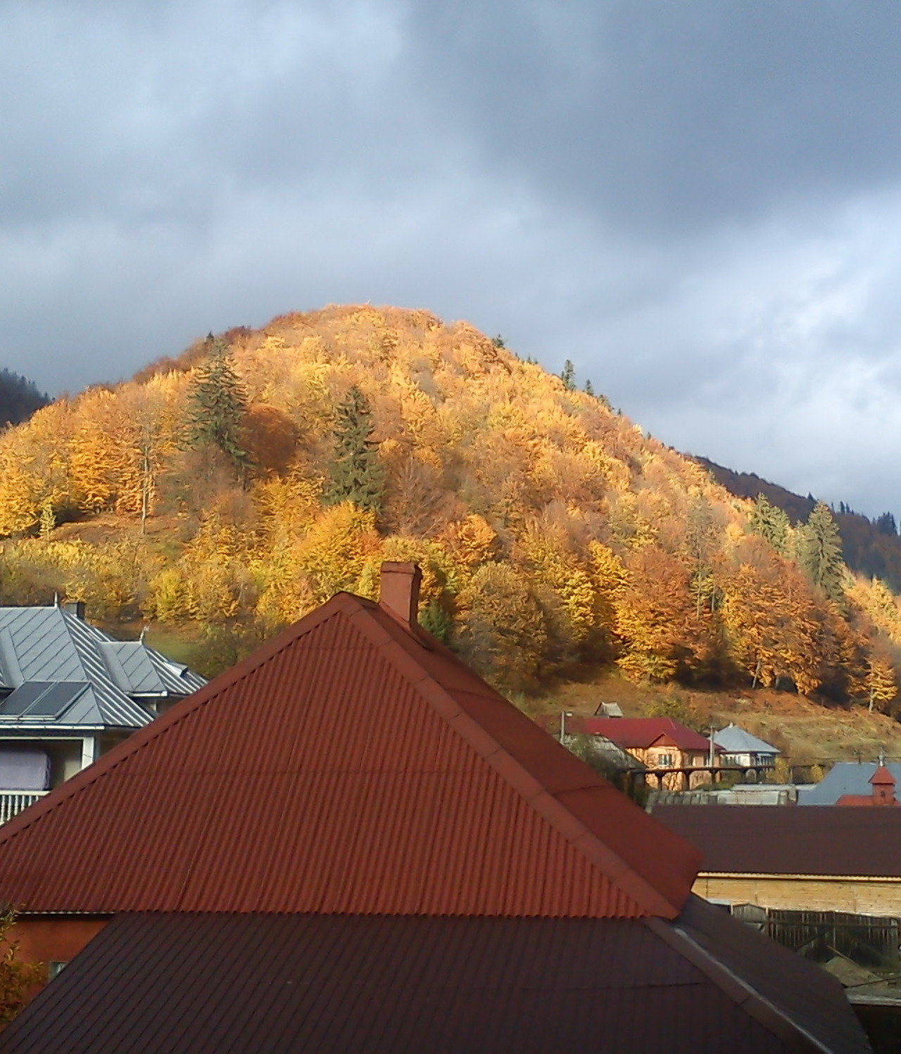I just took this photo with my phone, this is how autumn looks like where I live :)