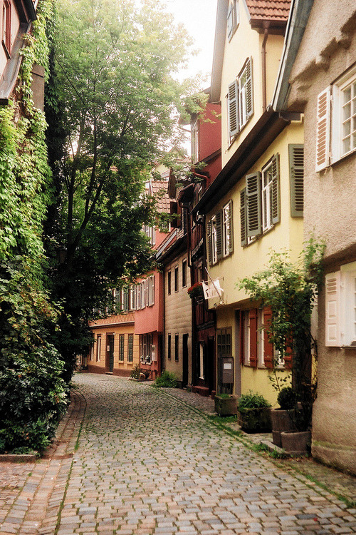 Cobblestone Street, Baden-Wurttemberg, Germany