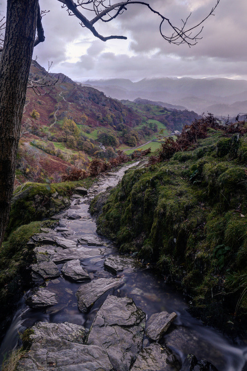 Rocky Stream, Lake District, England