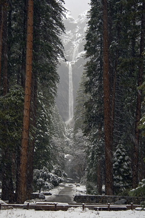 Lower Falls, Yosemite, California