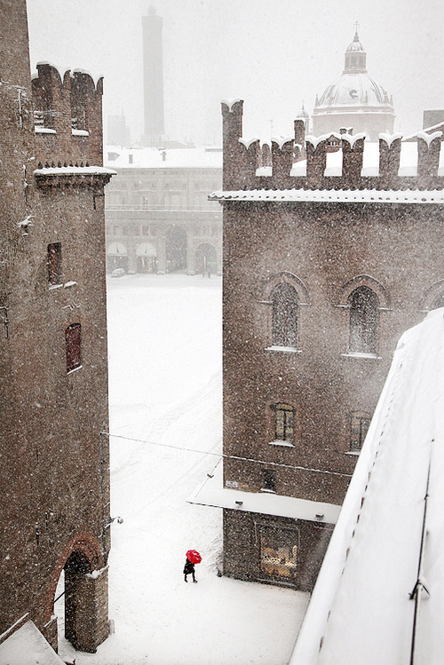 Snowy Day, Bologna, Italy