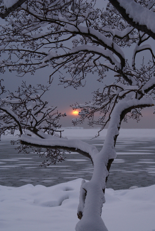 Winter Sunset, Lauttasaari, Finland