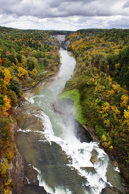 Autumn colors in Letchworth State Park, New York, USA