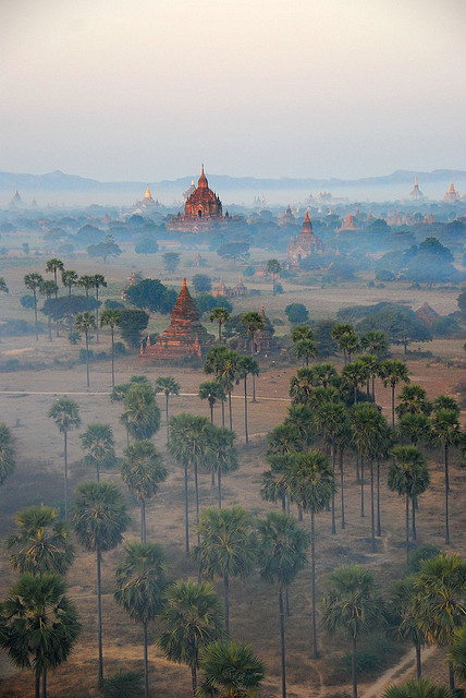 Bagan Temples in the morning mist, Myanmar