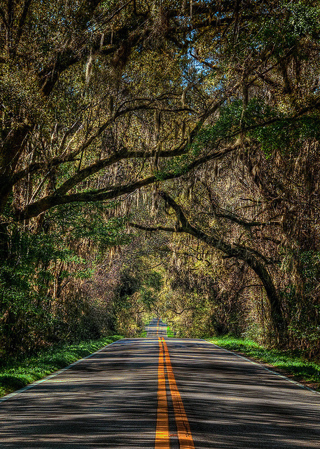 South on Meridian Road near Tallahassee, Florida, USA