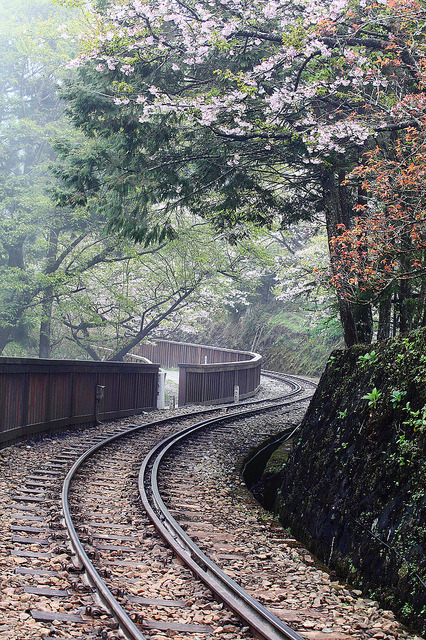 Railway tracks in Alishan National Scenic Area, Taiwan