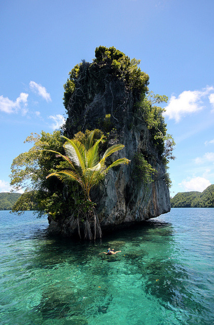 Snorkeling near a rock in Palau Islands, Micronesia