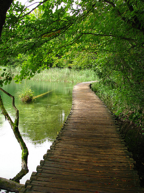 The wooden path in Plitvice Lakes National Park, Croatia