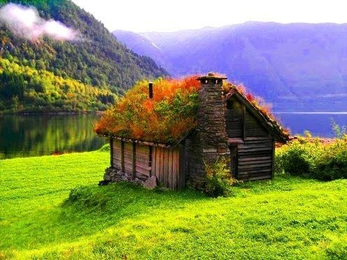 Grass Roof Home, Norway