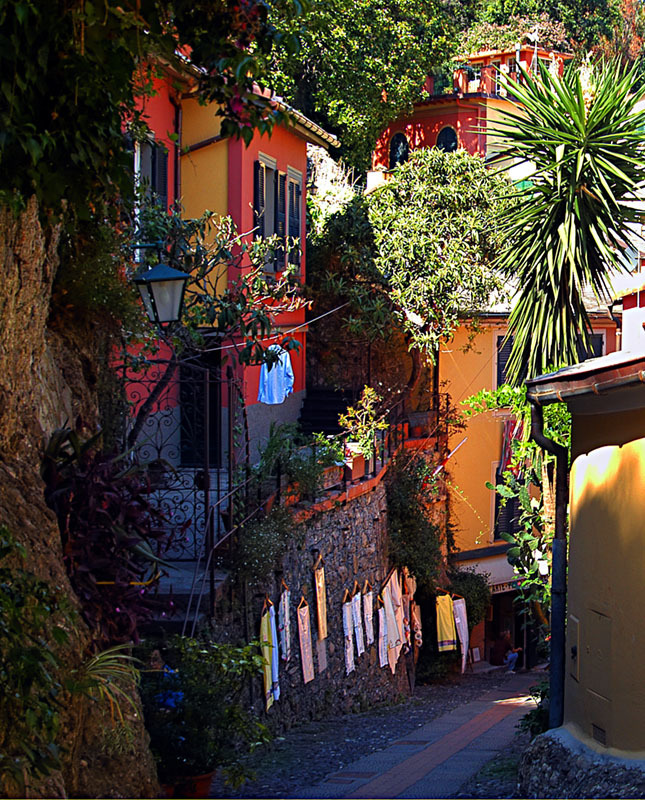 Ligurian colours, Portofino, Italy