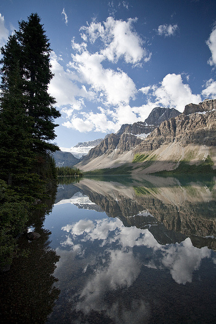 Crowfoot Mountain reflected in Bow Lake, Icefields Parkway, Canada
