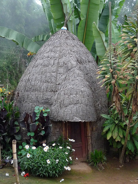 Typical hut of a Dorze village in Gughe Mountains, Ethiopia