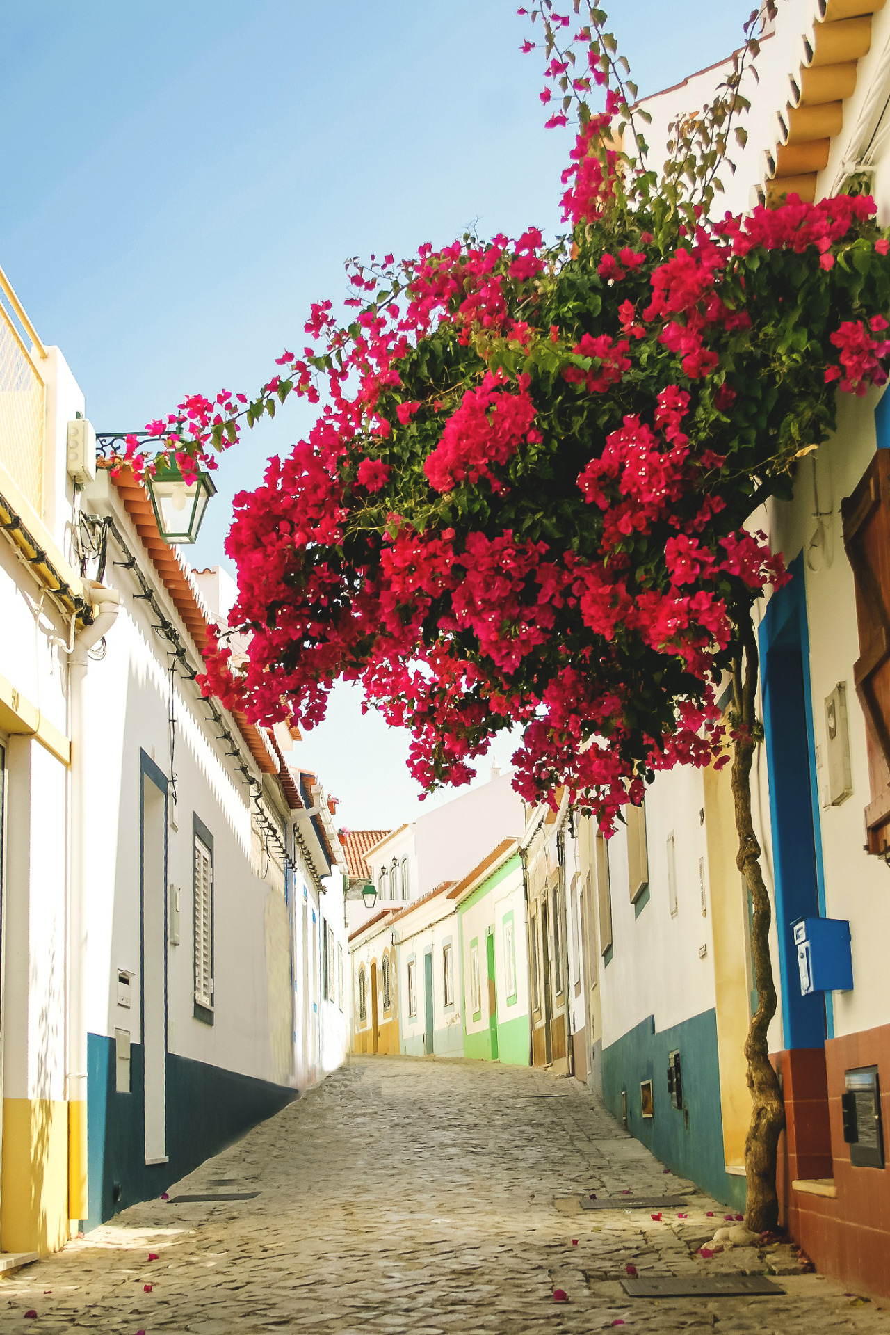 Faro, Portugal  Dominick Angstwurm