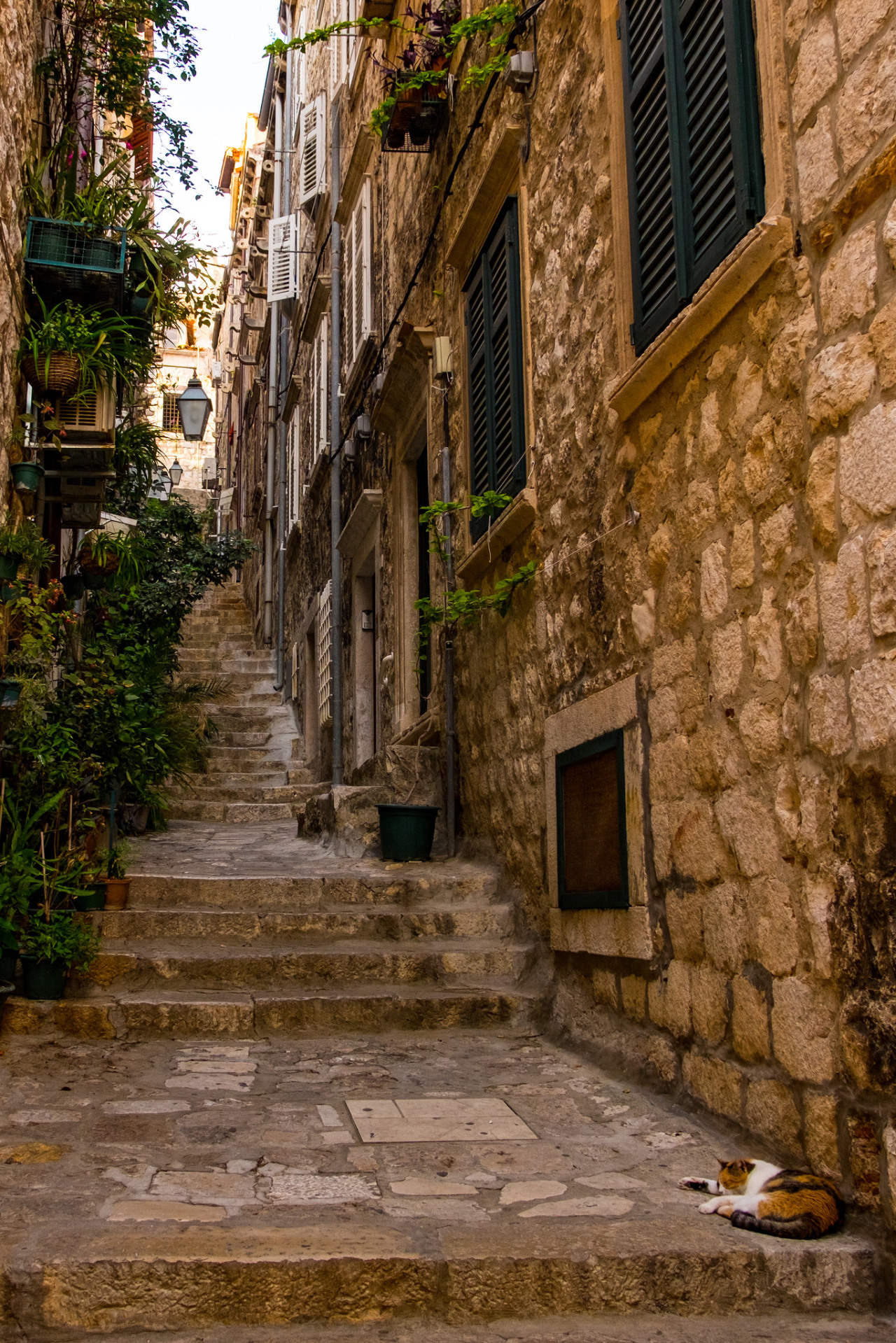 Dubrovnik steps / Croatia